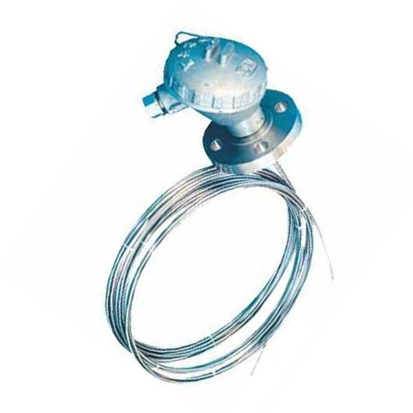 多（duō）點防爆熱電阻